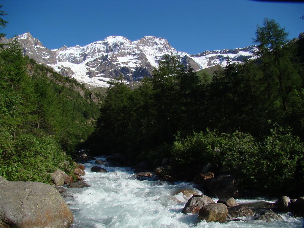 Tre Alberi Liberi Bed and Breakfast Alagna Valsesia Buitenkant foto