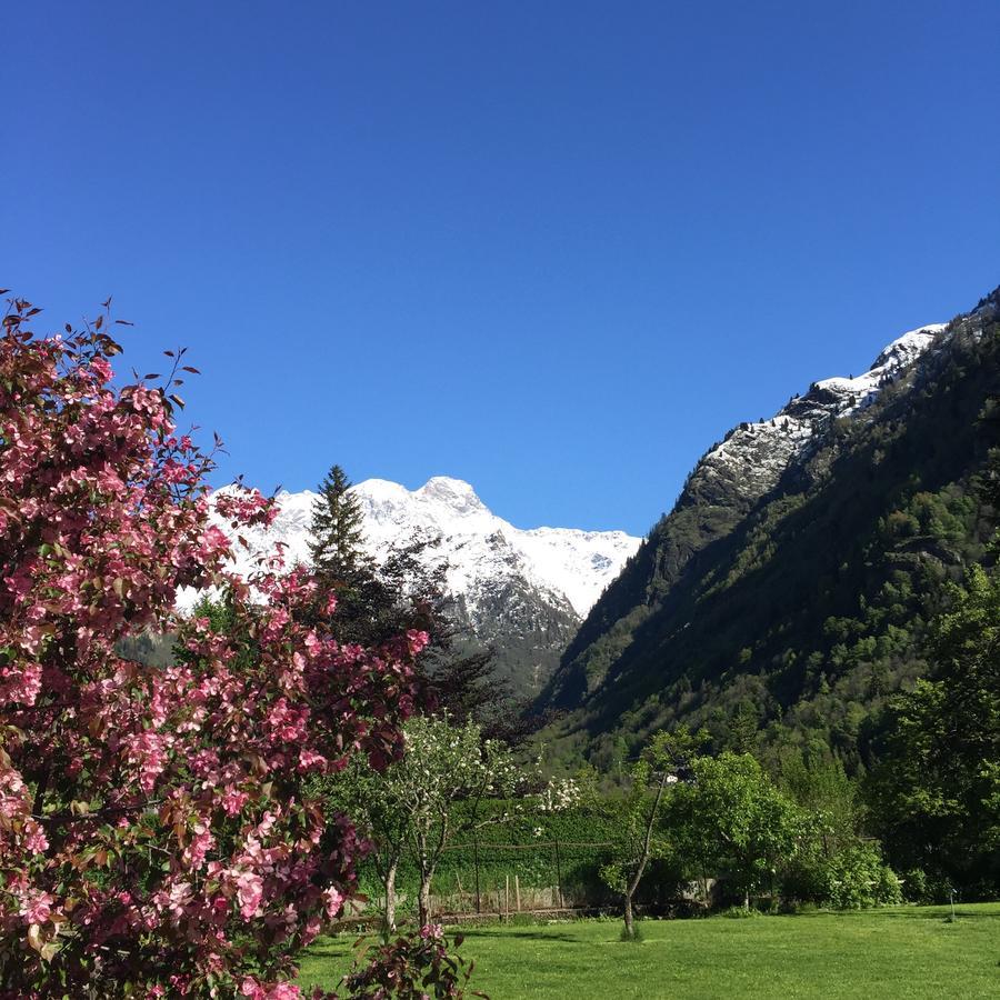 Tre Alberi Liberi Bed and Breakfast Alagna Valsesia Buitenkant foto